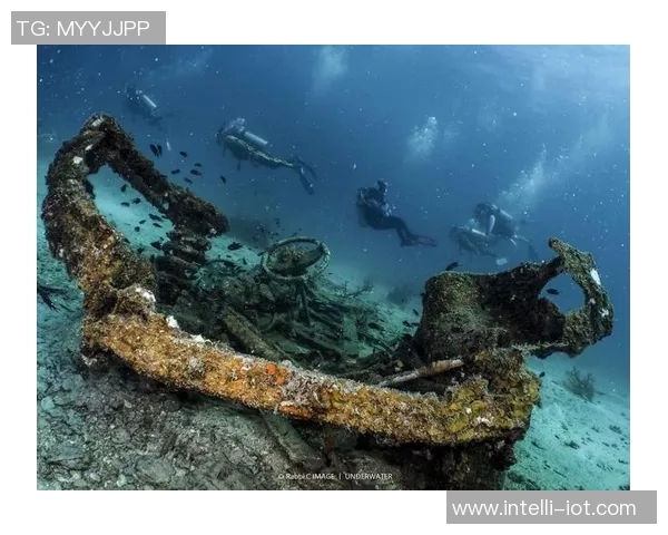 加莱诺的艺术魅力与文化影响力探讨:从历史到现代的多维视角分析 加莱诺的艺术魅力与文化影响力探讨:从历史到现代的多维视角分析