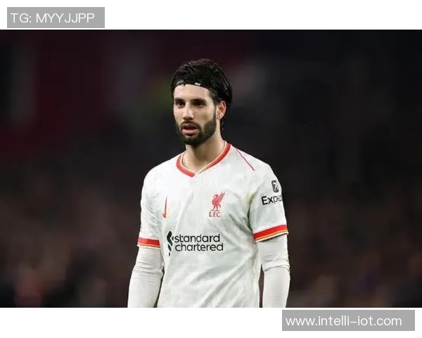 索博斯洛伊的魅力探秘与历史文化价值的深度剖析 索博斯洛伊的魅力探秘与历史文化价值的深度剖析