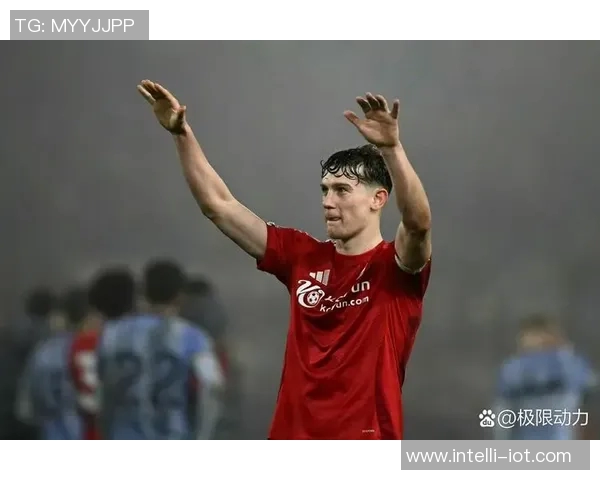 胡尔城主场迎战埃弗顿双方争夺英超宝贵积分之战 胡尔城主场迎战埃弗顿双方争夺英超宝贵积分之战