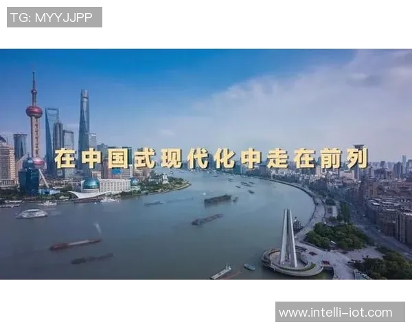 谢什科的传奇旅程与影响力探讨：从历史到现代的深度剖析