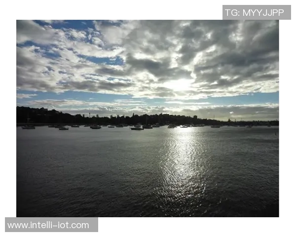 澳大利亚与叙利亚足球对决精彩瞬间全景回顾与分析 澳大利亚与叙利亚足球对决精彩瞬间全景回顾与分析