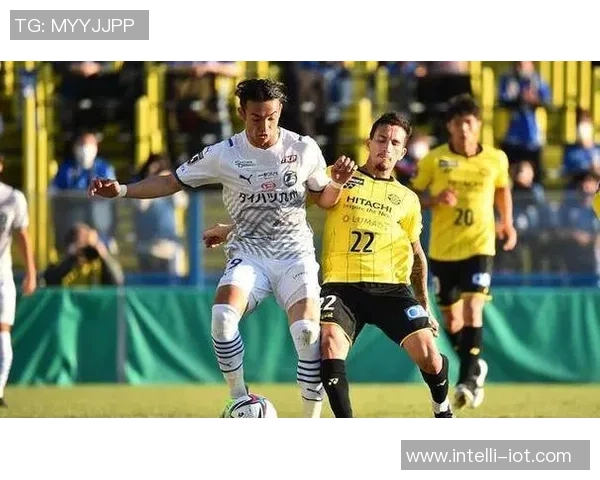 福岗黄蜂迎战德岛队全力争胜期待精彩对决 福岗黄蜂迎战德岛队全力争胜期待精彩对决