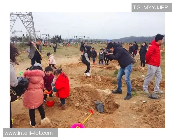 贝柳与海耶的巅峰对决谁将成为拳坛新王者的传奇之路