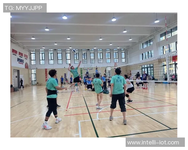 上海排球队的节奏揭秘：从训练到比赛的精彩瞬间与背后故事