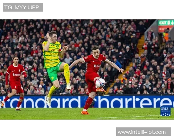 利物浦与诺维奇对决谁能笑到最后赛前分析与预测 利物浦与诺维奇对决谁能笑到最后赛前分析与预测