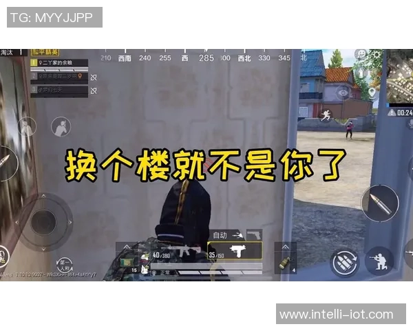 和平精英战术解析FPX战队防反体系的成功之道与实战应用