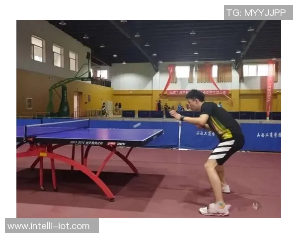 对话吴静:回顾乒乓球生涯的辉煌与挑战与未来展望 对话吴静:回顾乒乓球生涯的辉煌与挑战与未来展望