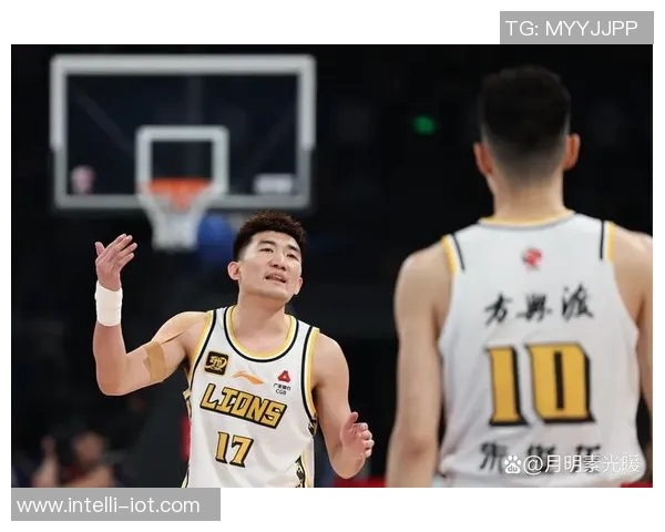 山东与北京精彩对决比赛回放分析与精彩瞬间回顾