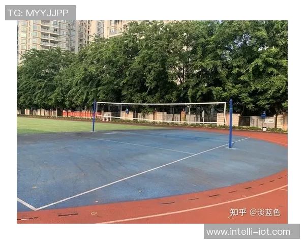 深圳排球队心理素质变革引发热议展现竞技体育新风貌