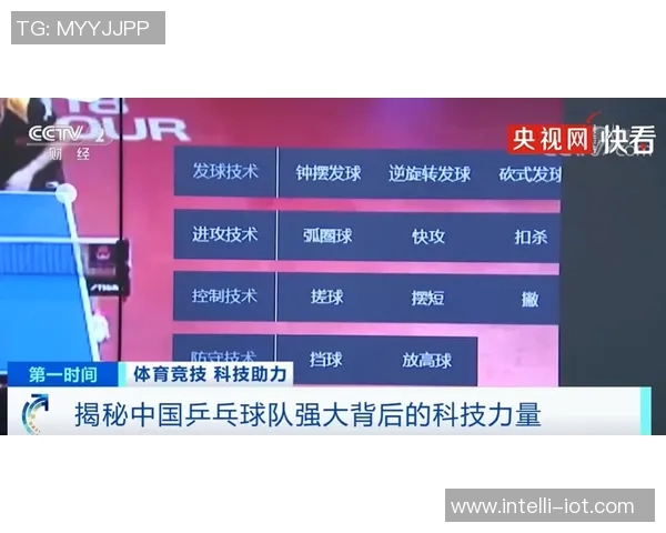 深圳网球队实力分析与数据解读：揭示其竞技表现与发展潜力