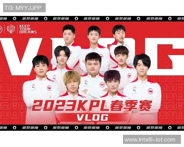 王者荣耀分析:深入探讨WE战队选手的个人能力与团队协作表现 王者荣耀分析:深入探讨WE战队选手的个人能力与团队协作表现