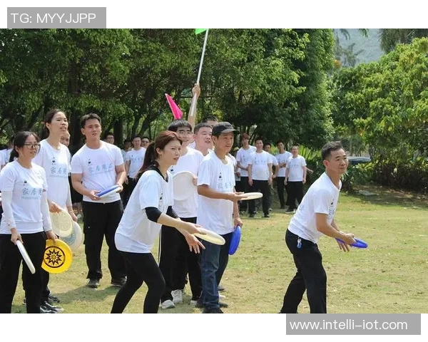 飞盘梦想启航：见证北京飞盘队的奋斗与成长之路MBA