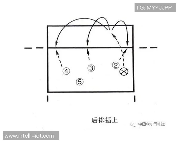 广州排球队意识对比深度解析与战术执行的影响探讨