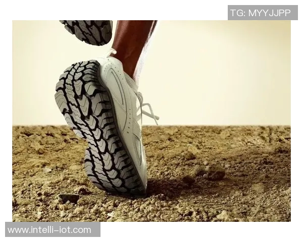 深度对话王芳排球人生的奋斗与梦想之路