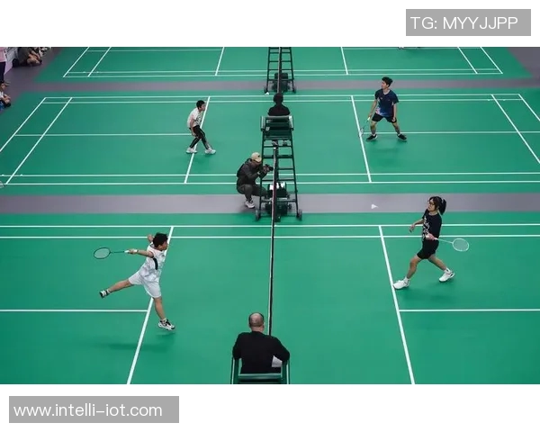 武汉羽毛球队在锦标赛中的默契配合与战术执行分析